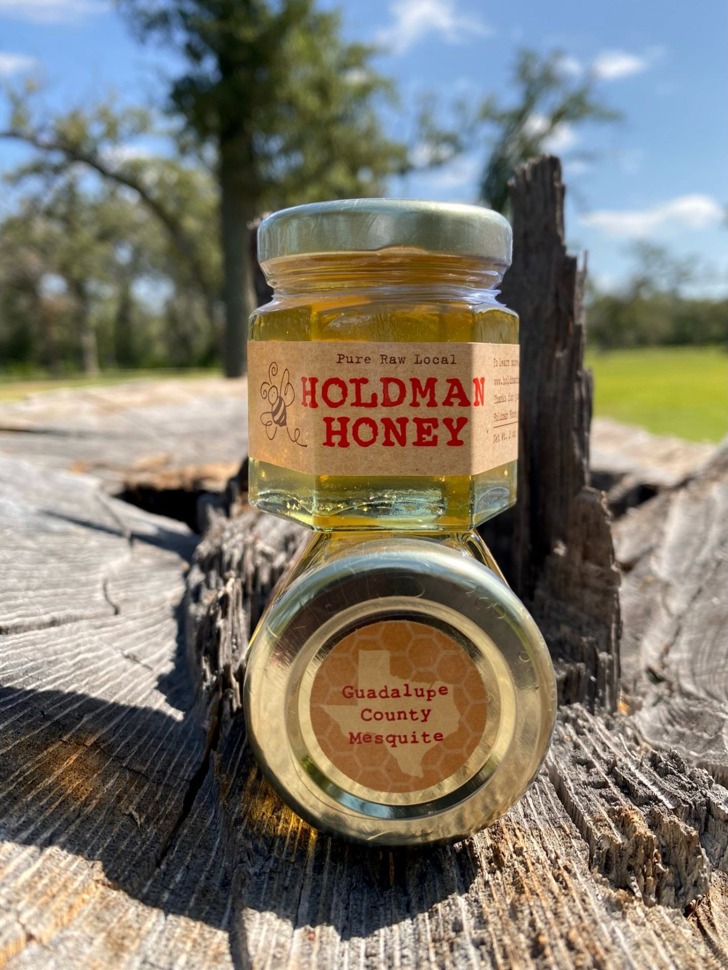 Holdman Honey 2