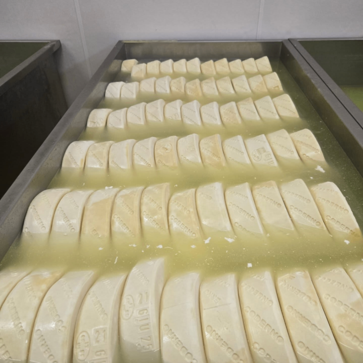 Lira Rossa Artisan Cheese 7