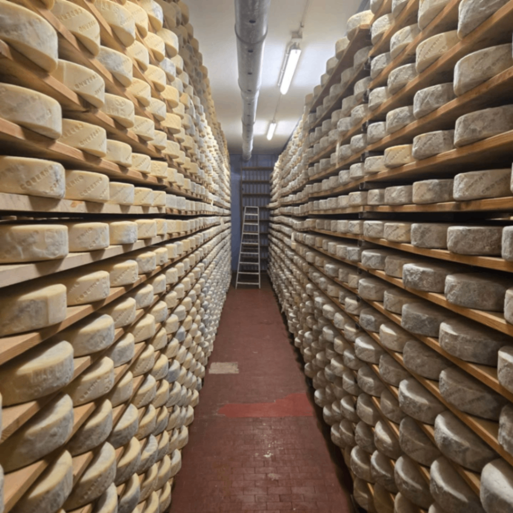 Lira Rossa Artisan Cheese 1