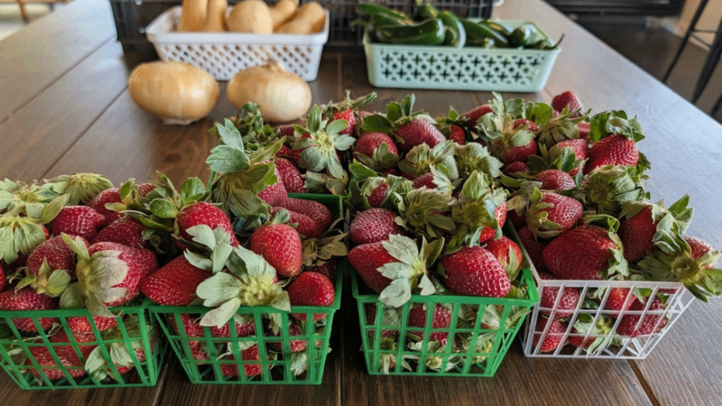 Ranch Roots Market 1