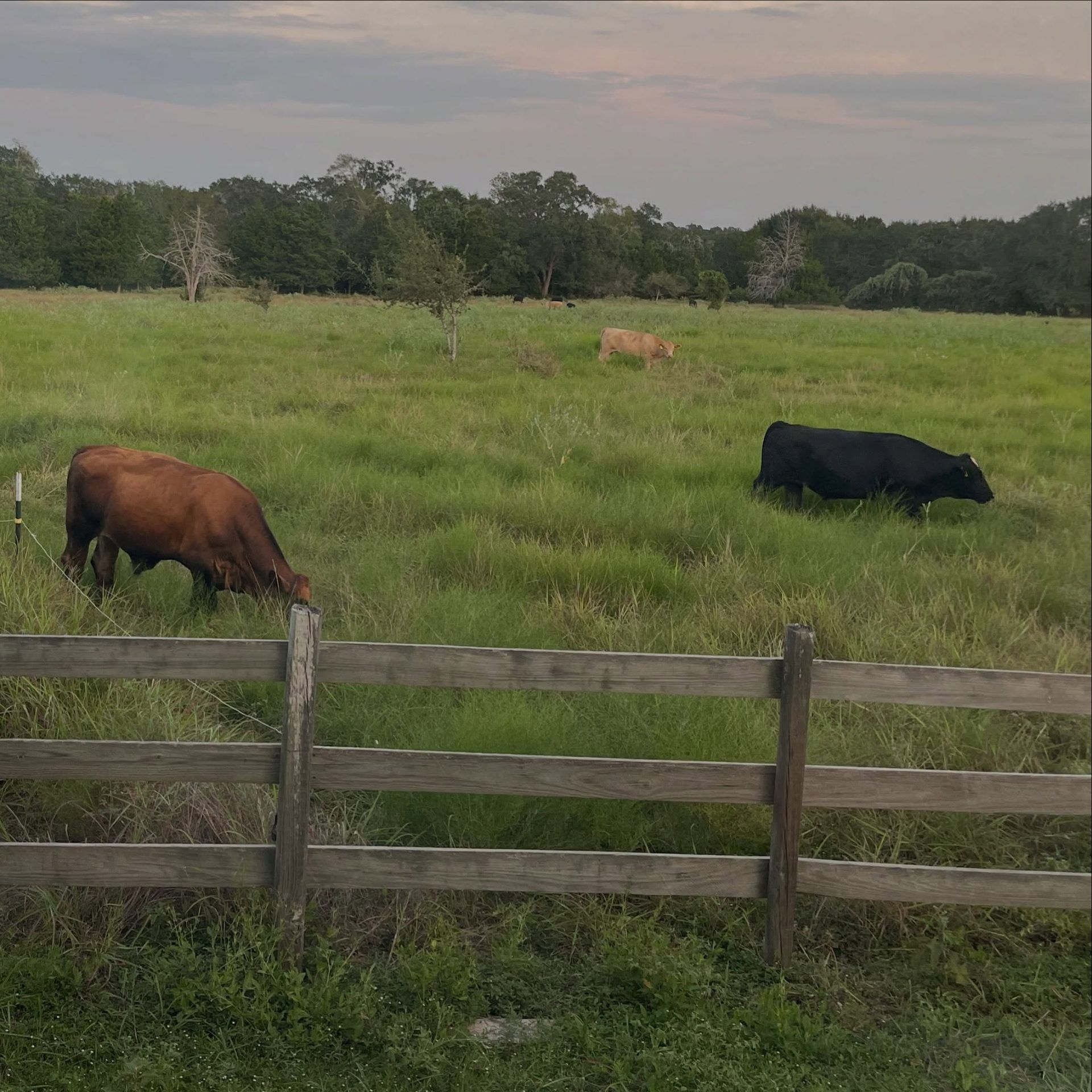5 N Farms 1