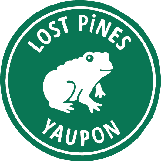 Lost Pines Yaupon Tea profile