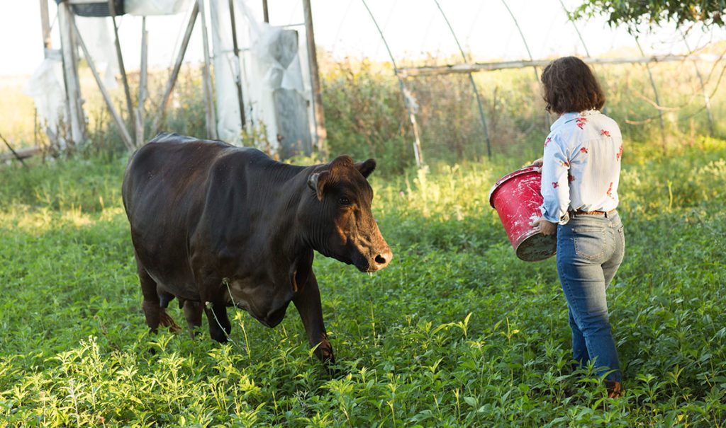 Hat & Heart Farm 6