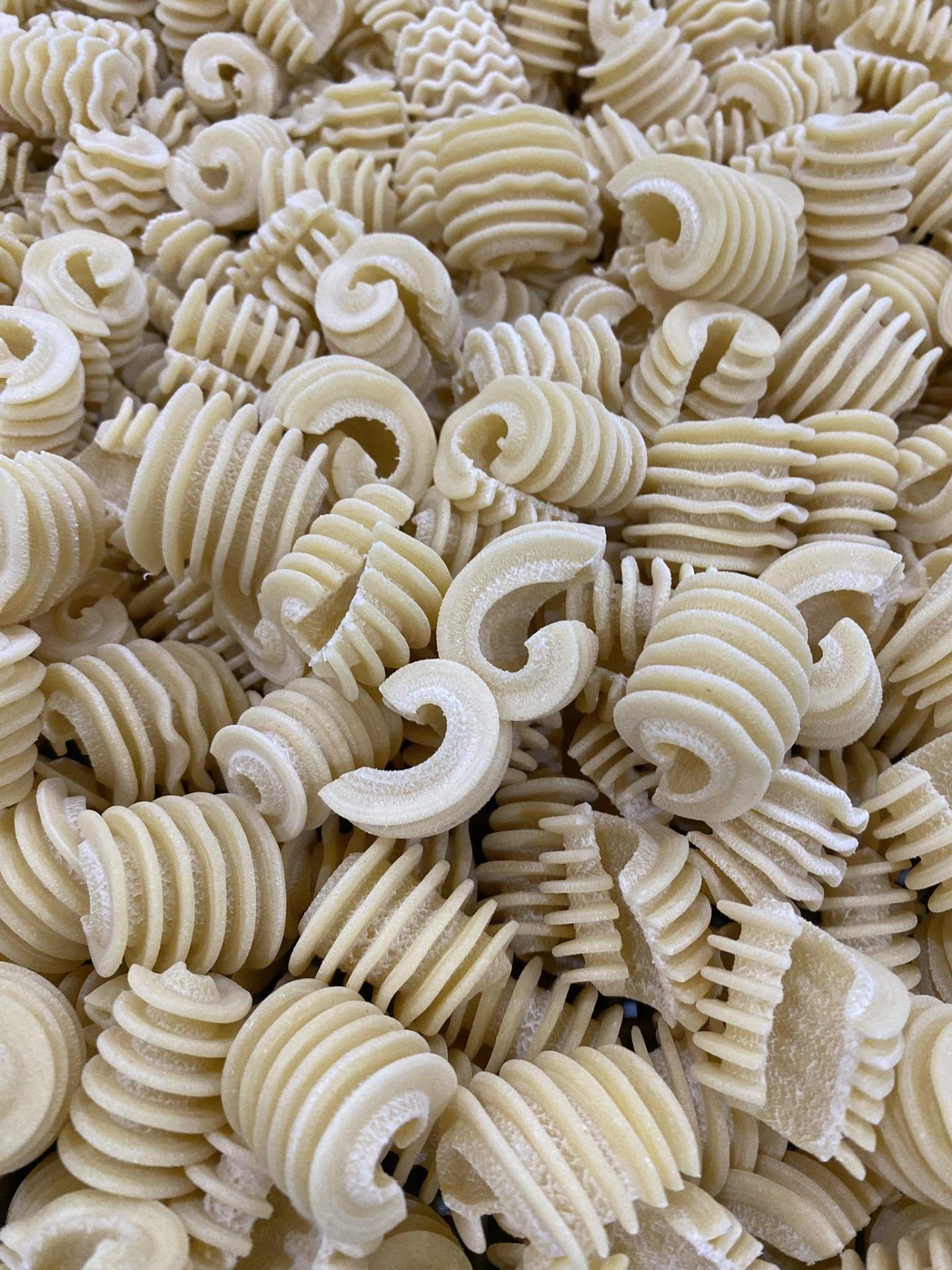 MADDPASTA NBTX 8