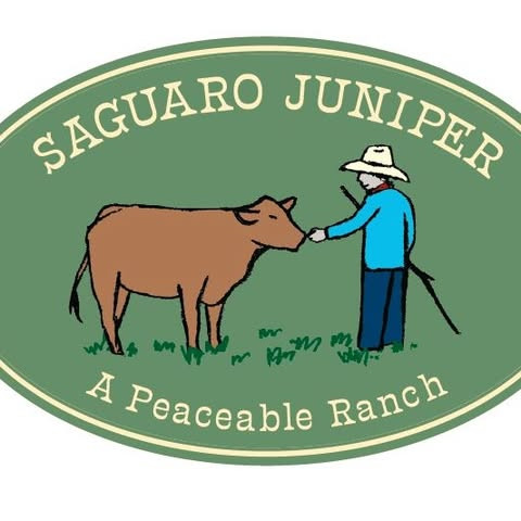 Saguaro Juniper profile