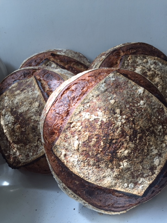 Bread for the People 2