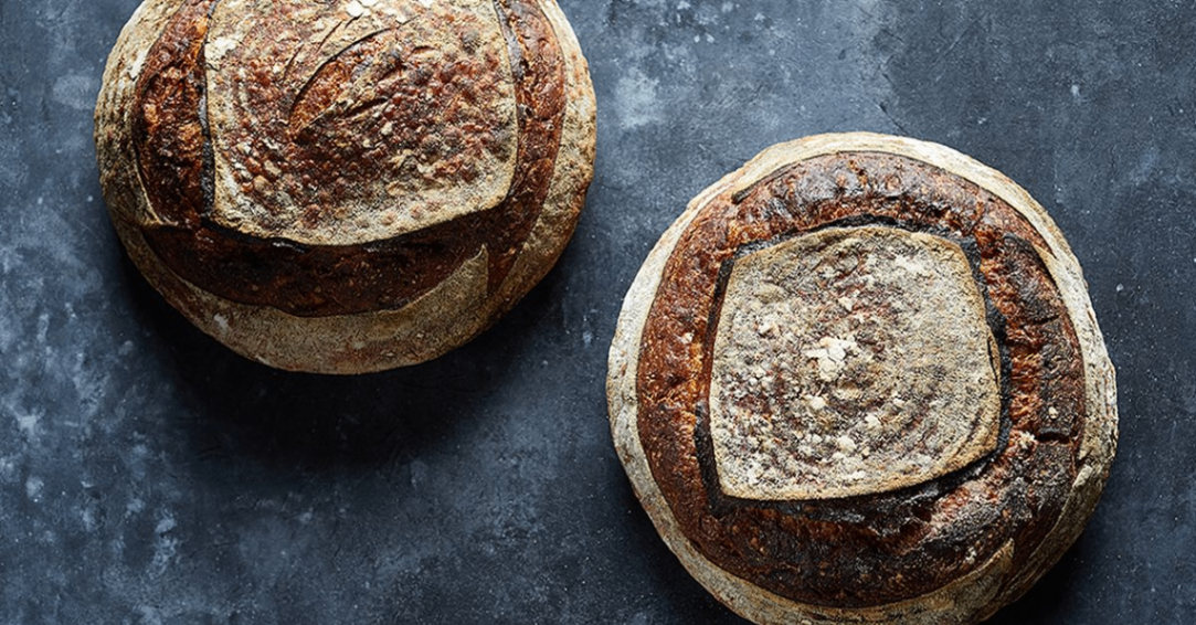 Bread for the People 4