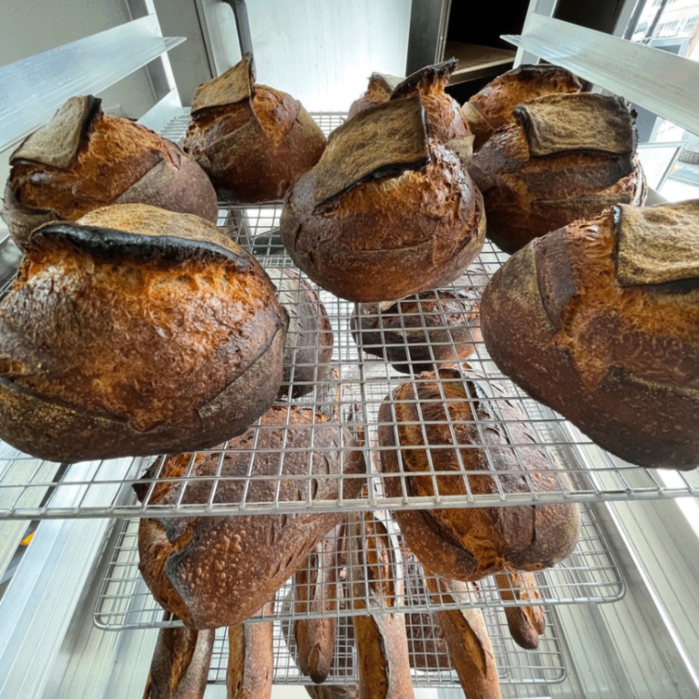 Jinx Bread 2