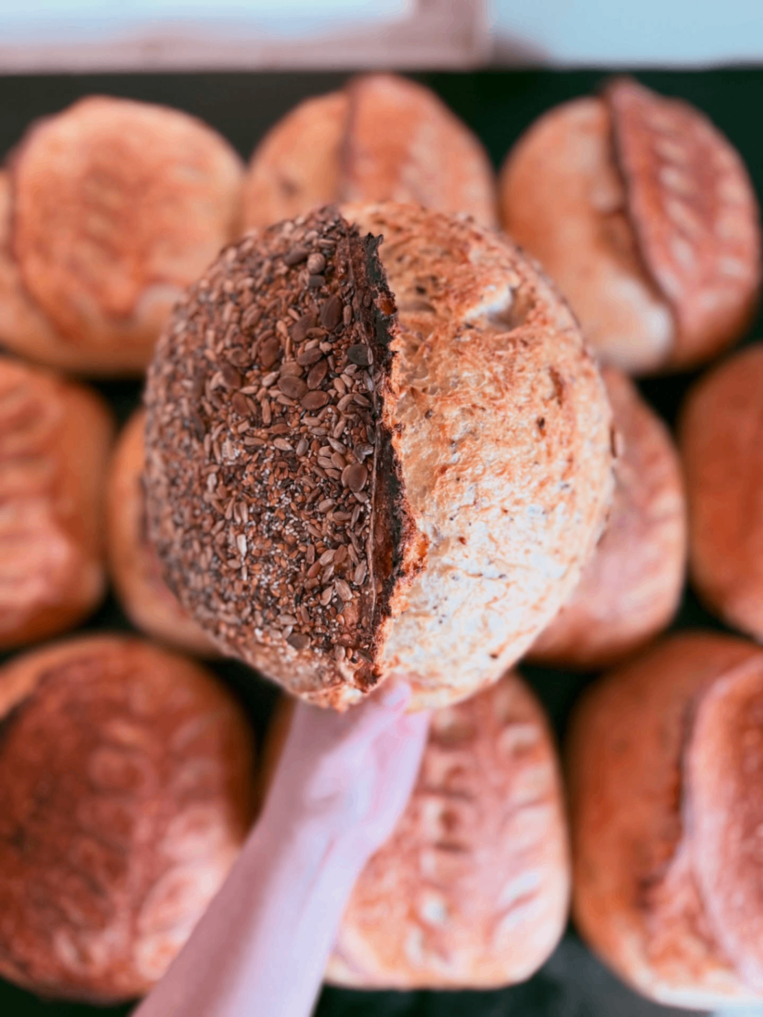 Boone Family Bakery 6
