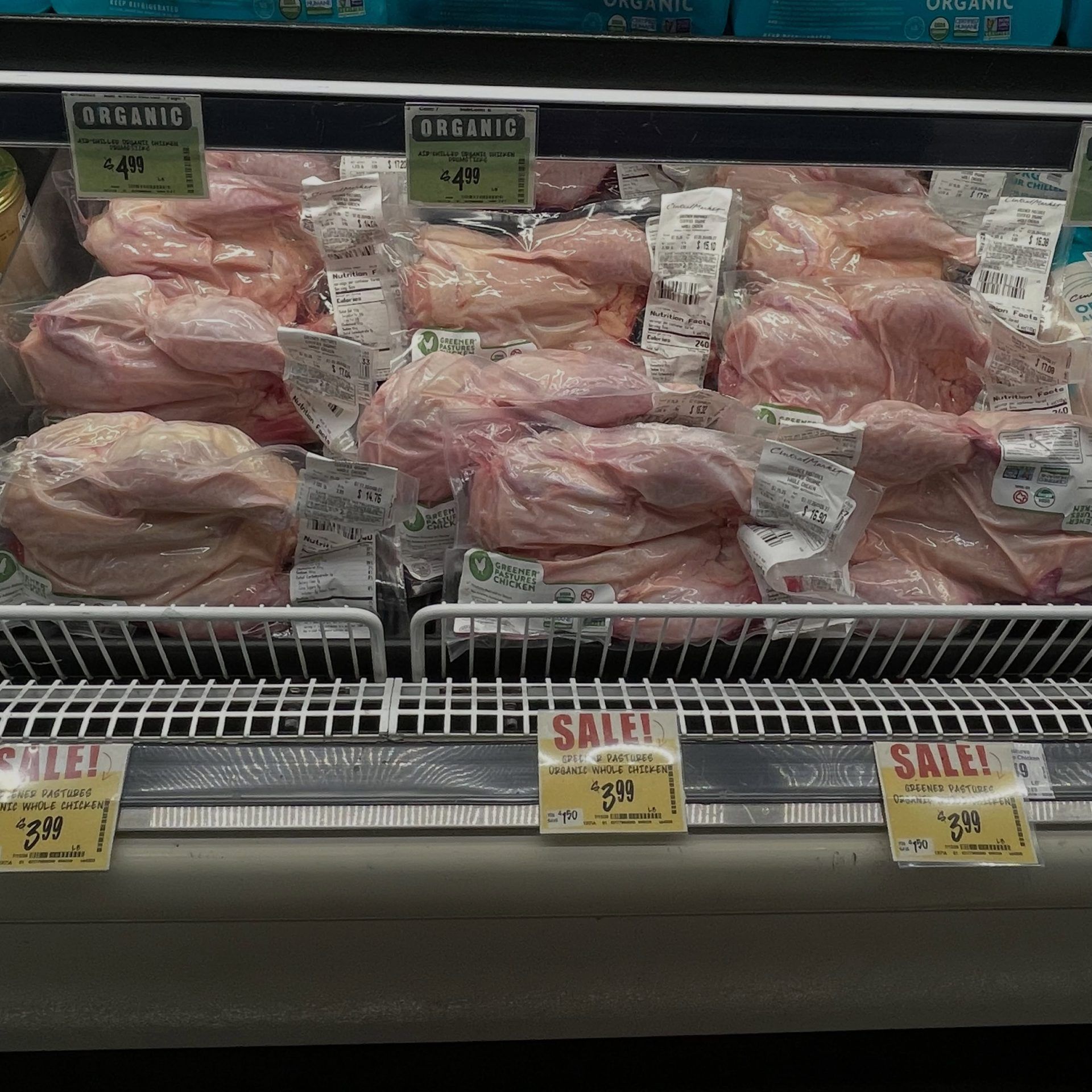 Greener Pastures Chicken 7