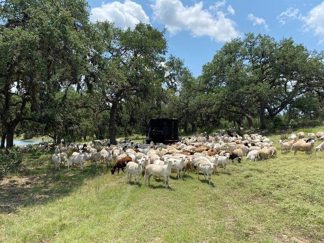 Pure Pastures Ranch Store 3
