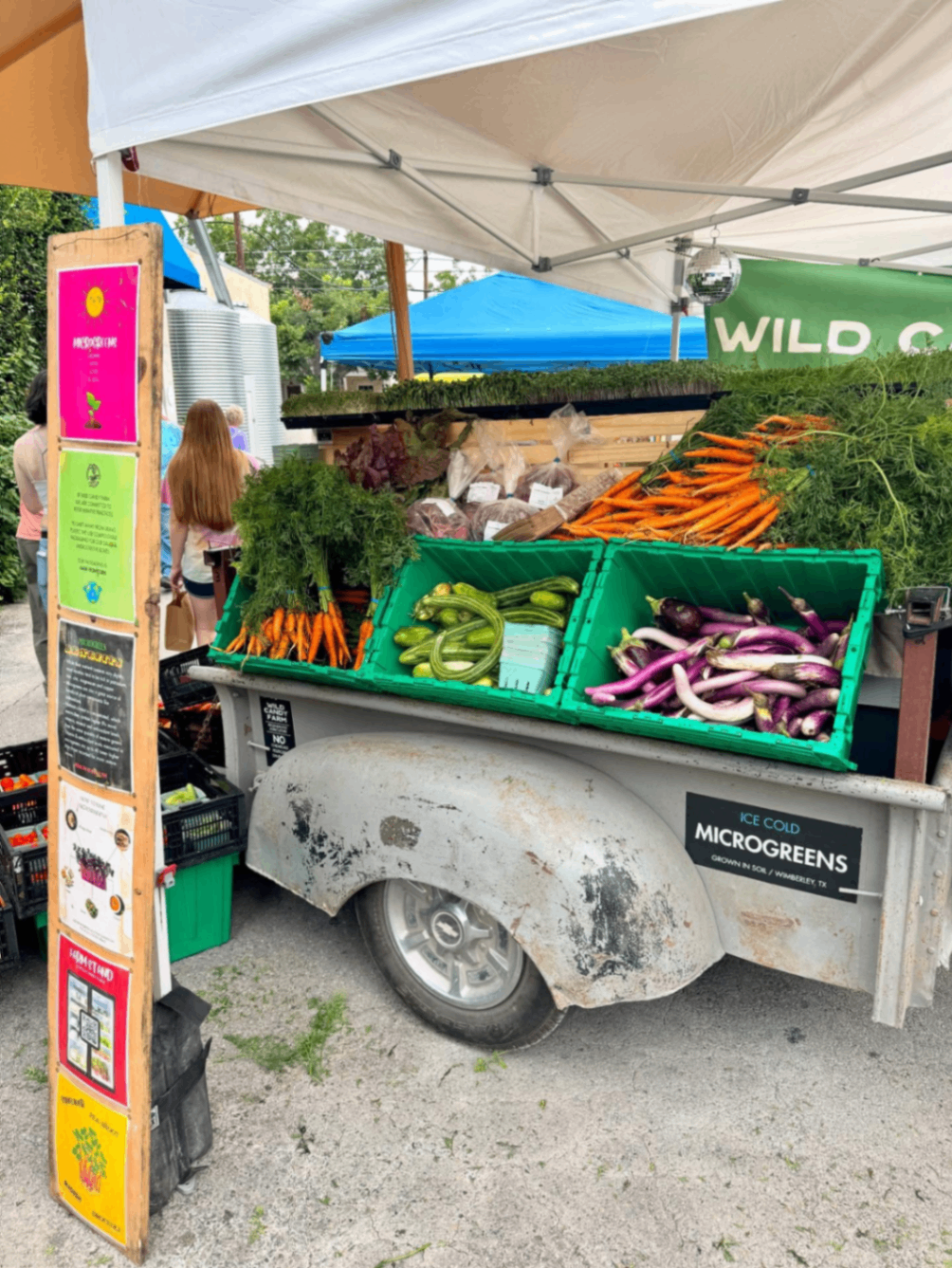 Wild Candy Farm 6