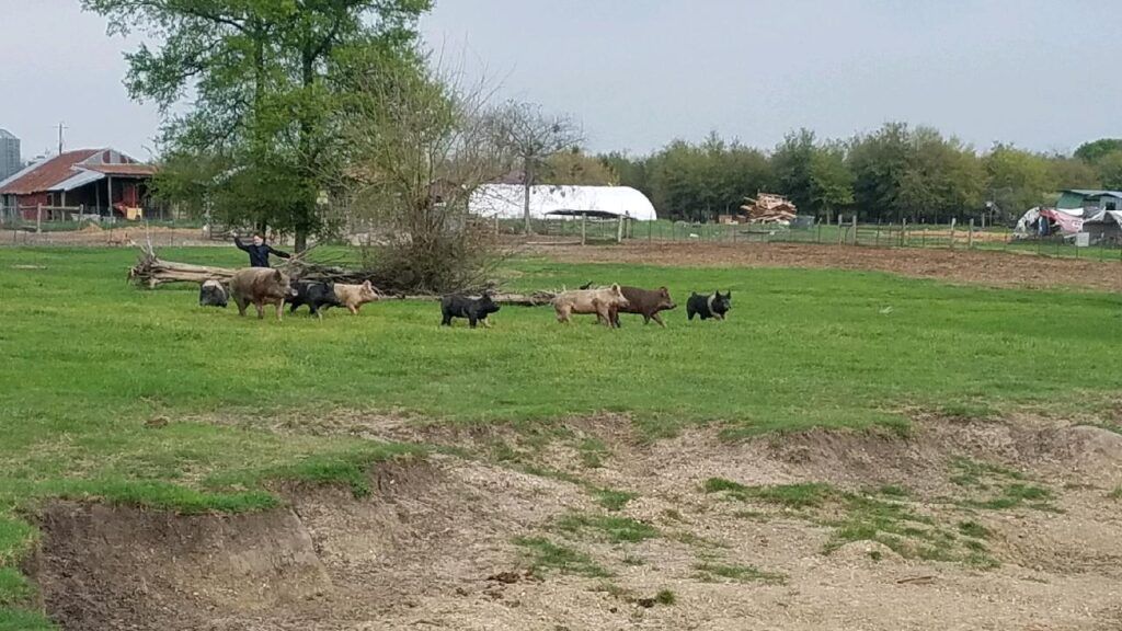 Richardson Farms 6