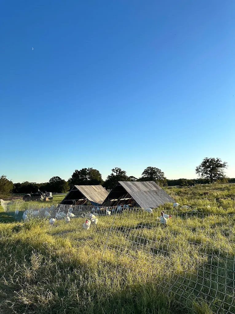 Belle Vie Farm and Kitchen 8