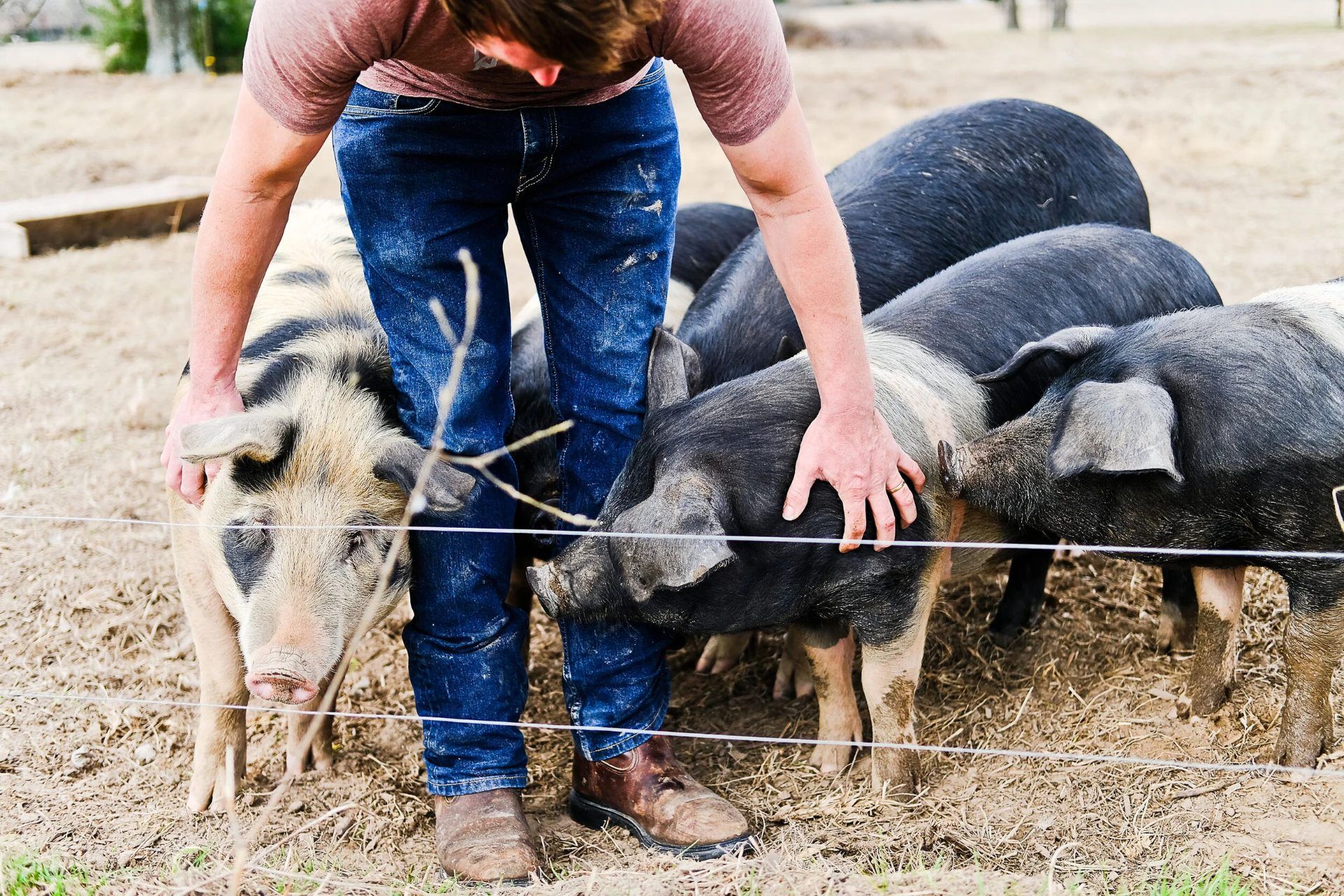 Belle Vie Farm and Kitchen 7
