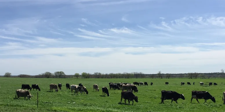 Mill-King Creamery 2