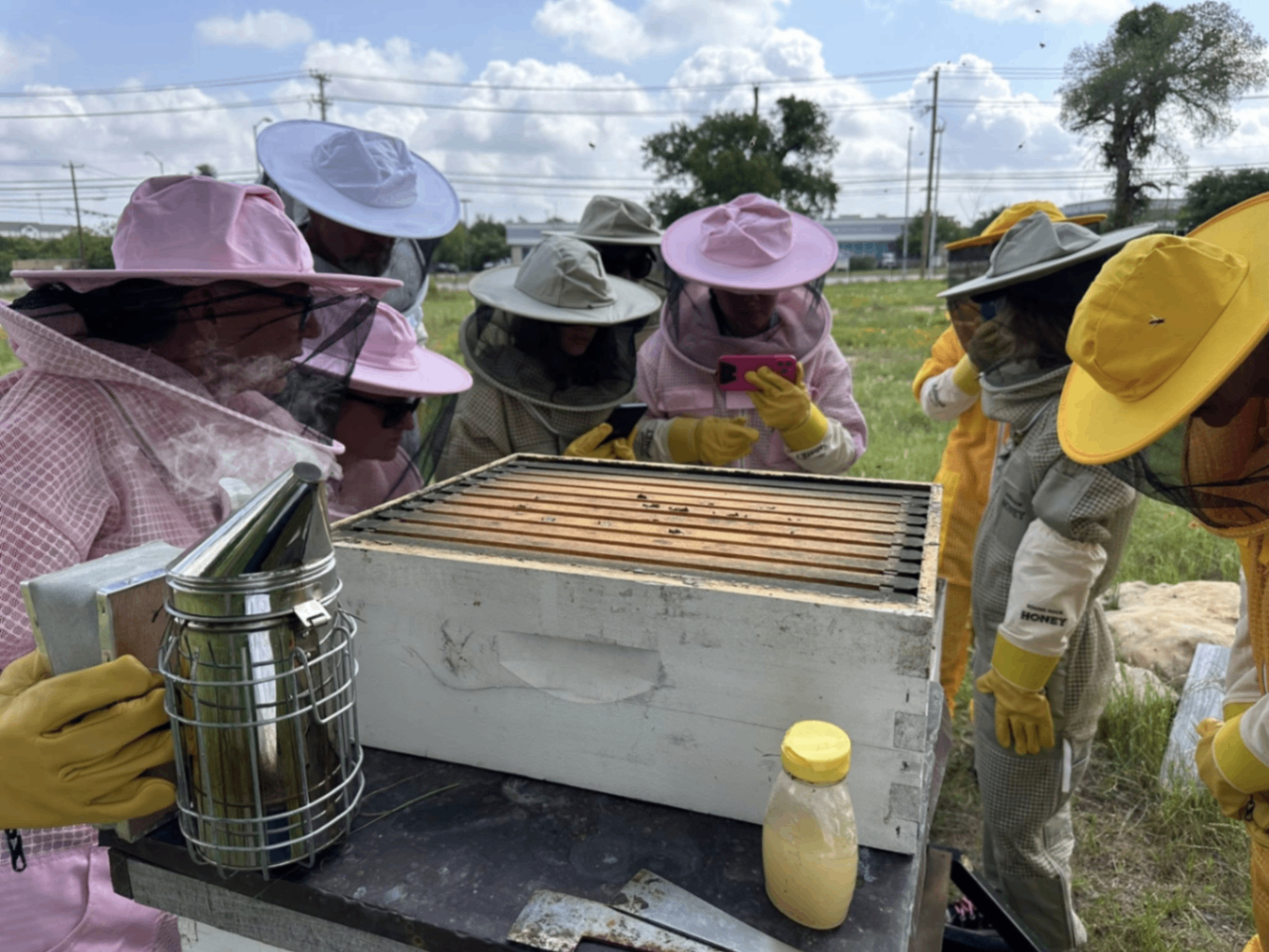 Round Rock Honey 8