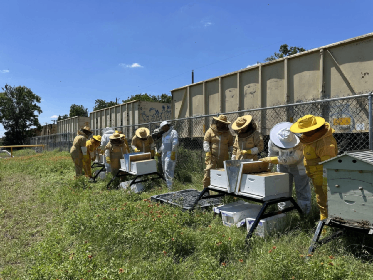 Round Rock Honey 5
