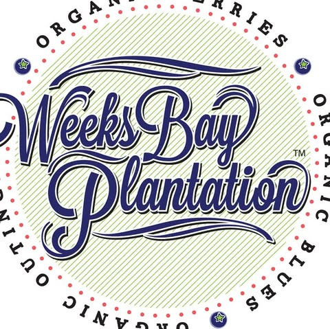 Weeks Bay Plantation profile