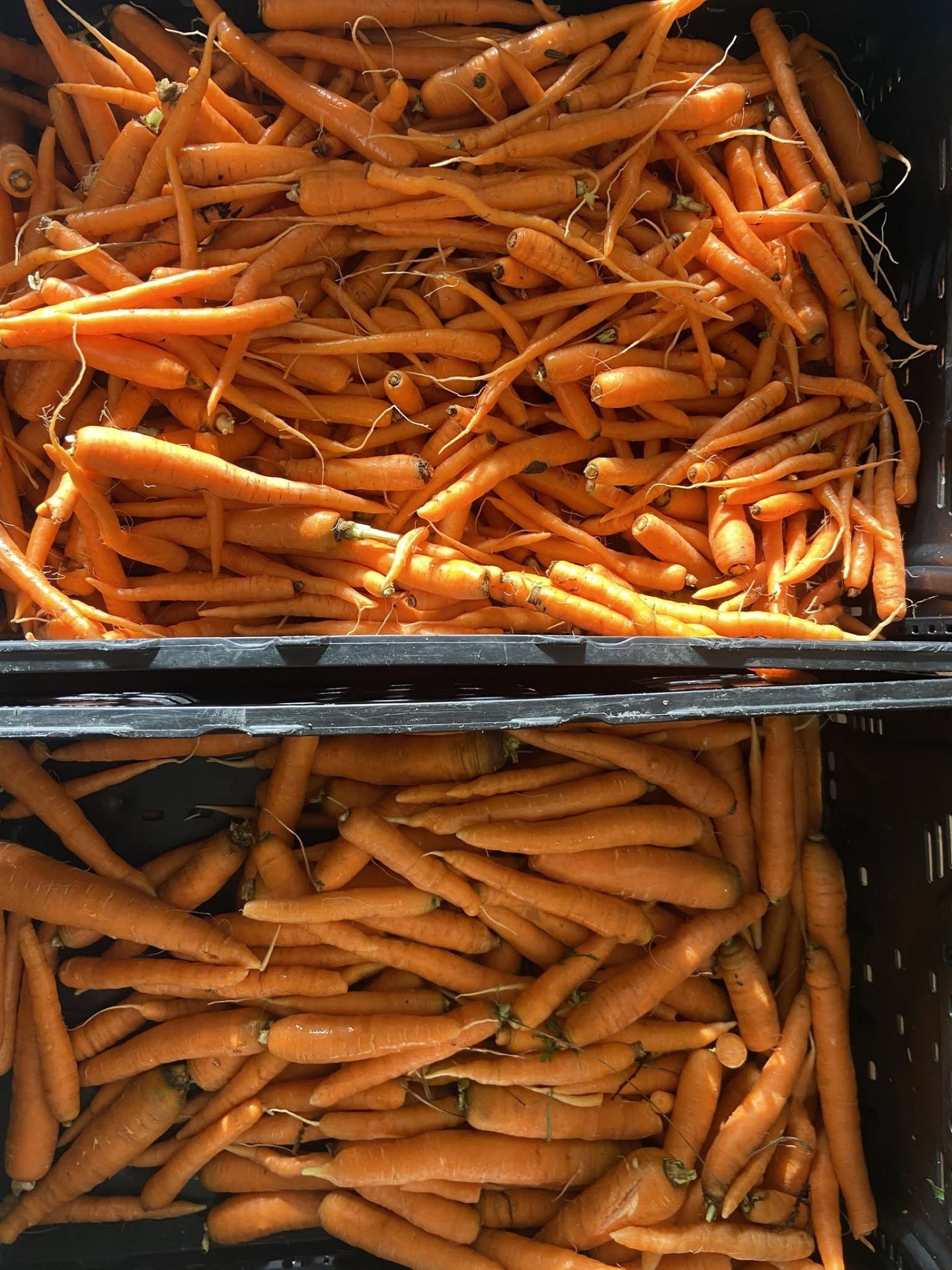 Eden East Farm 5