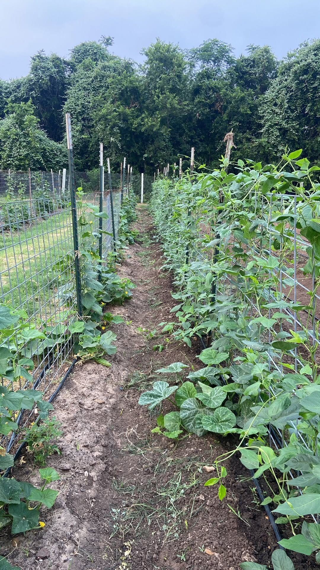Eden East Farm 4