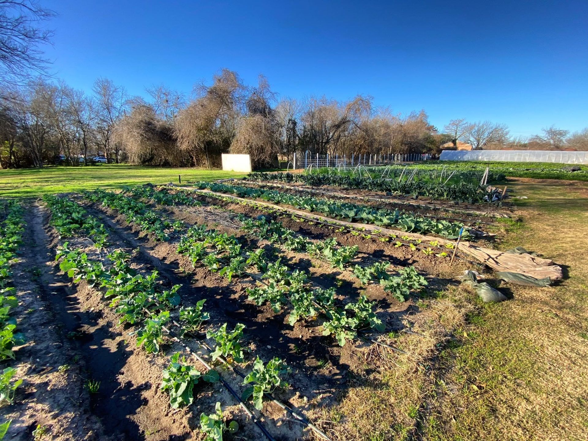 Eden East Farm 3