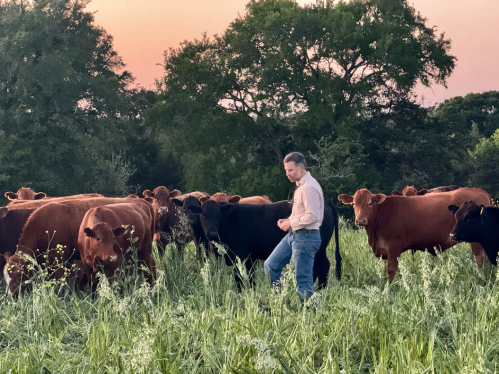 Shirttail Creek Farm and Farm Shop