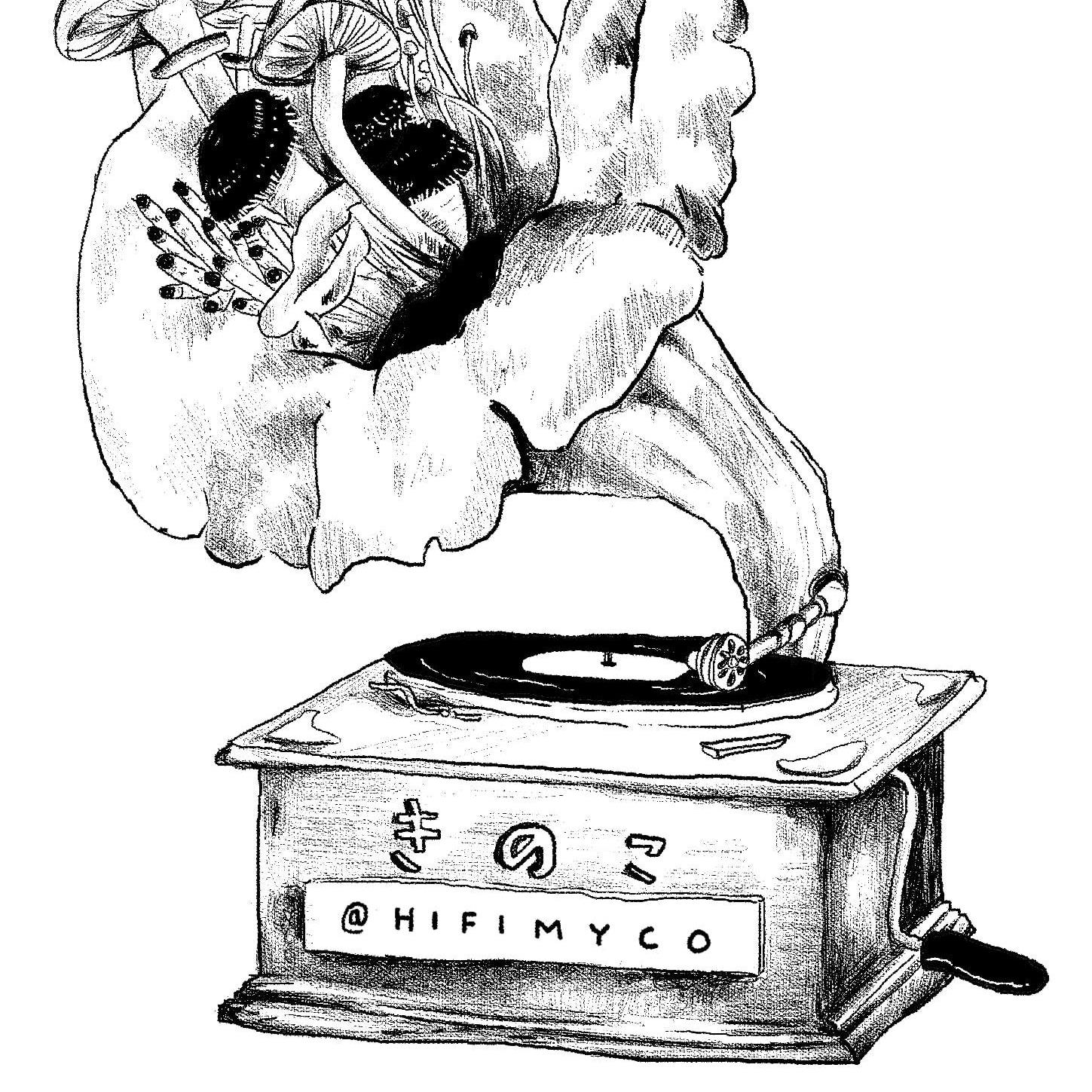 Hi-Fi Mycology profile