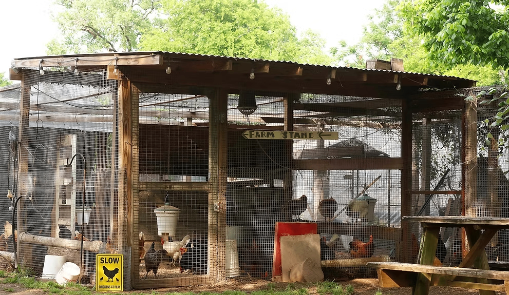 Boggy Creek Farm Stand 3