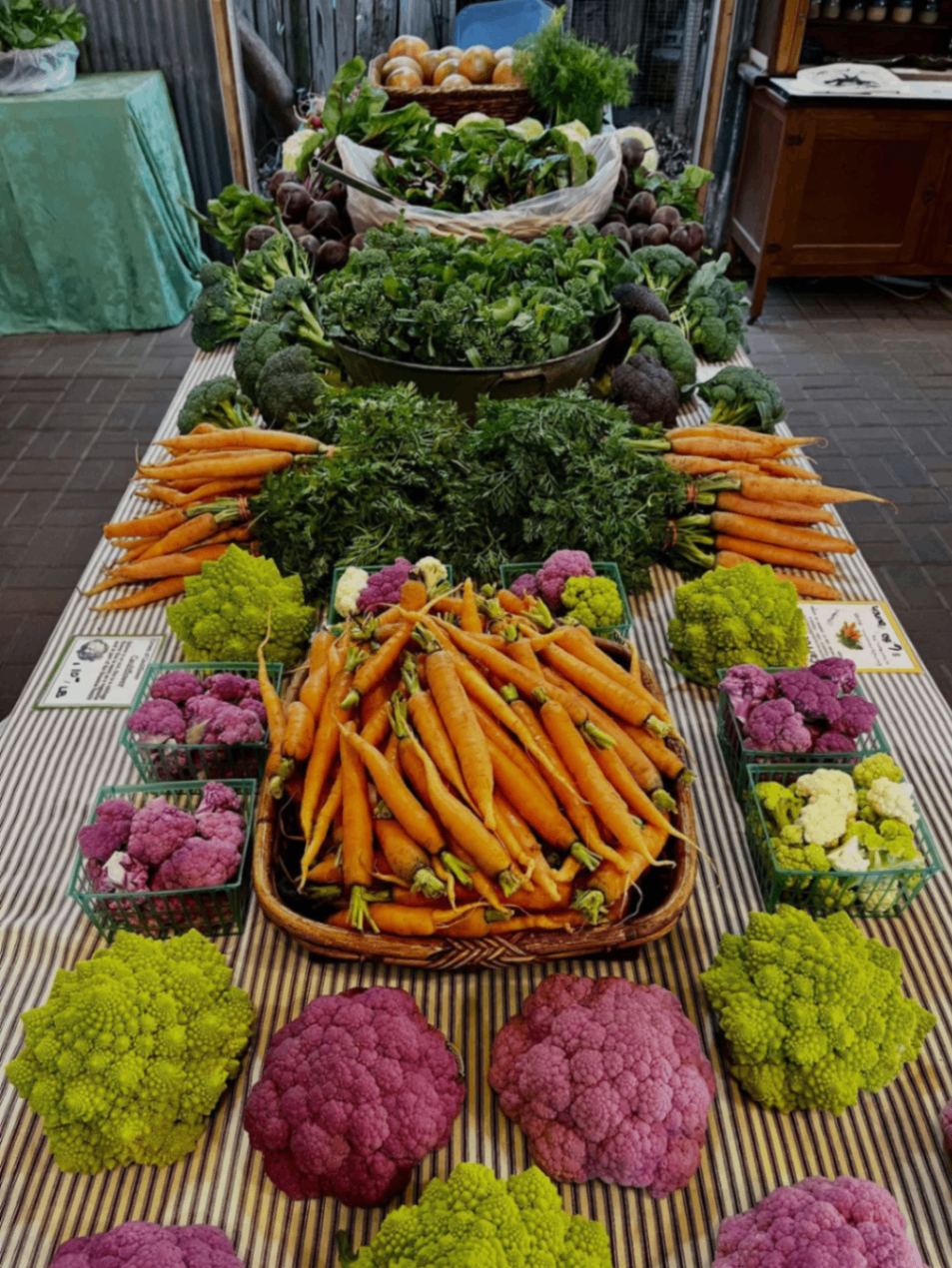 Boggy Creek Farm Stand