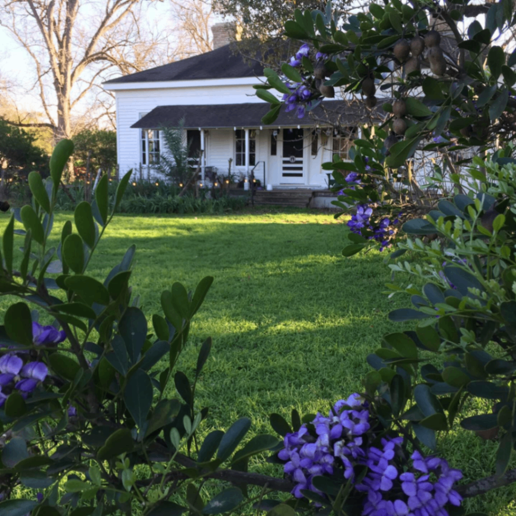 Boggy Creek Farm Stand 10