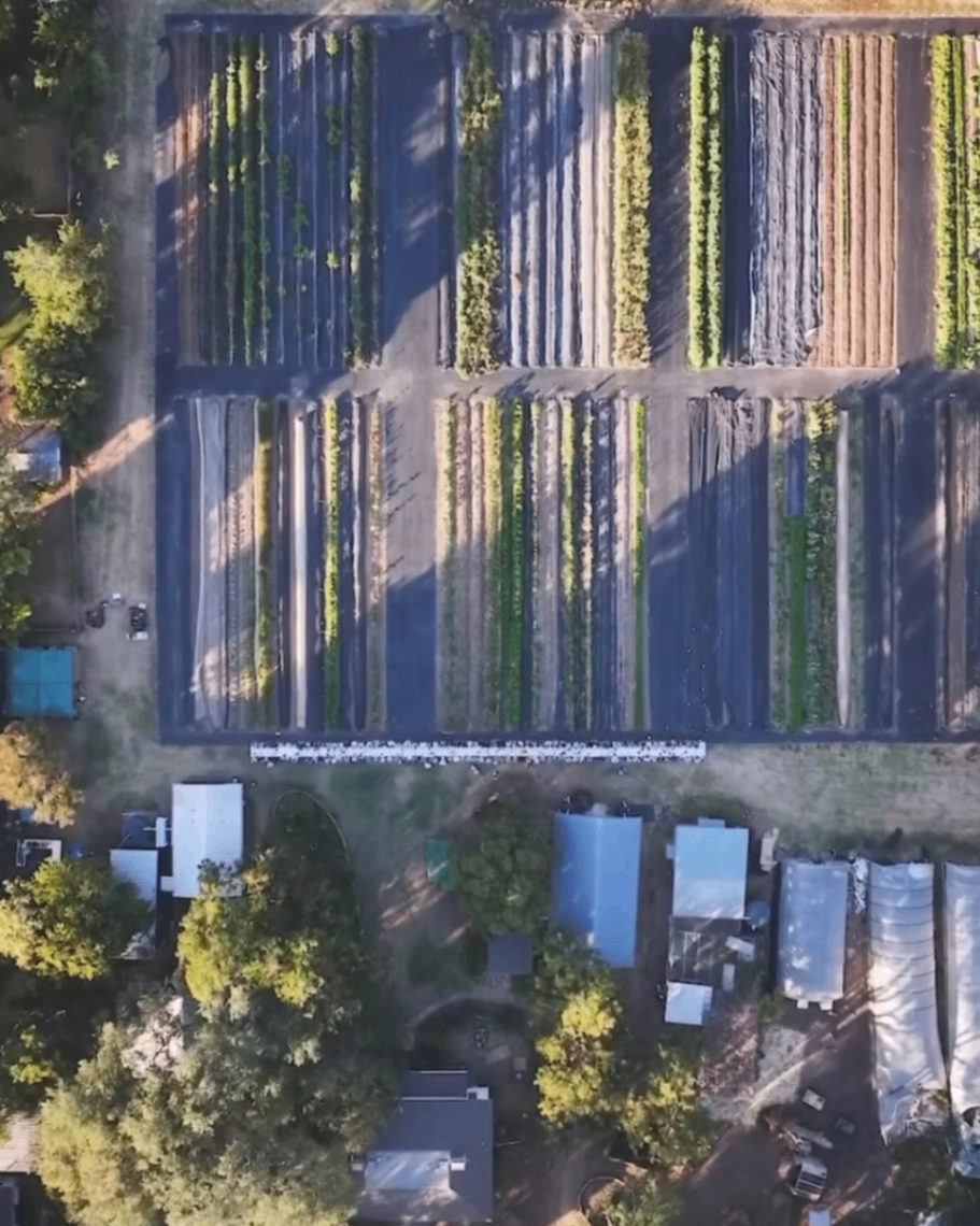 Boggy Creek Farm Stand 8