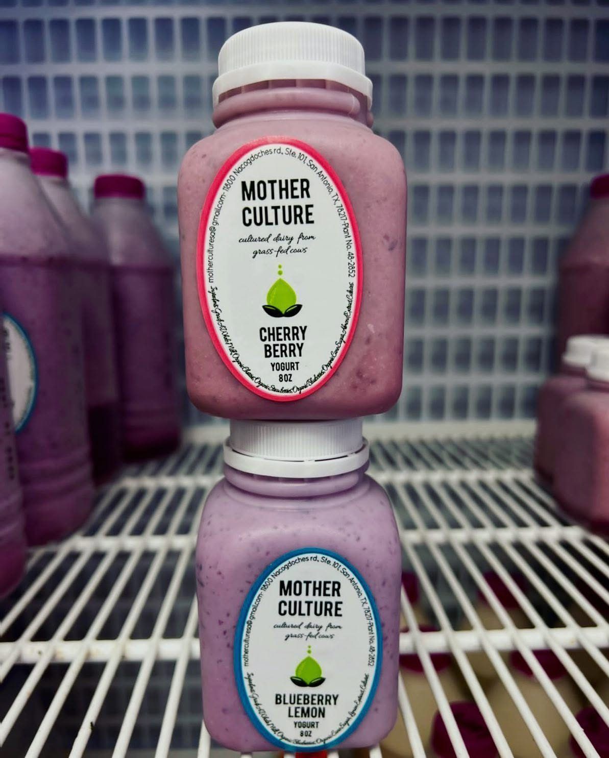 Mother Culture Yogurt 8