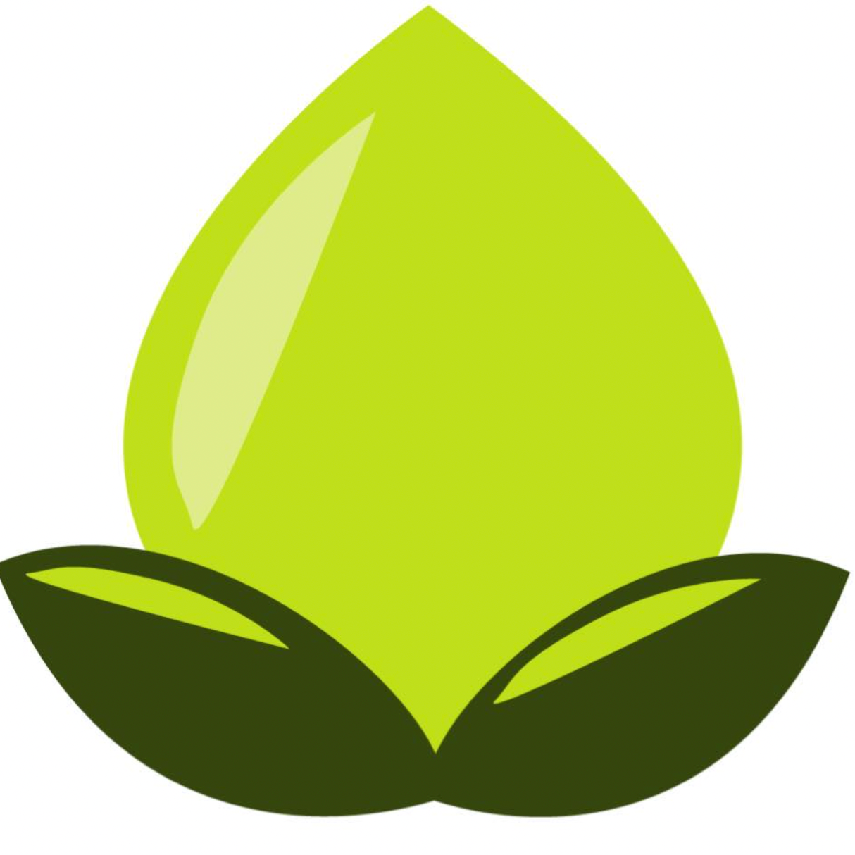 Mother Culture Yogurt