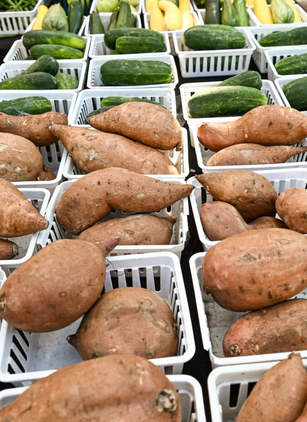 Wilco Farmers Market 6