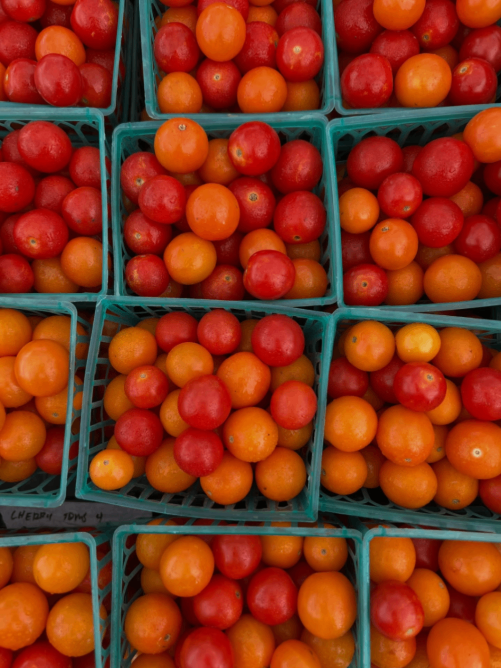 SFC Farmers' Market Downtown 2