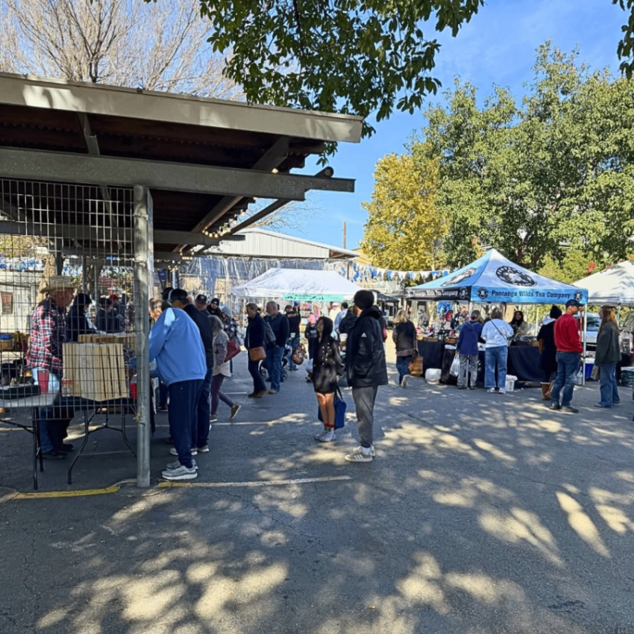 New Braunfels Farmers Market 6