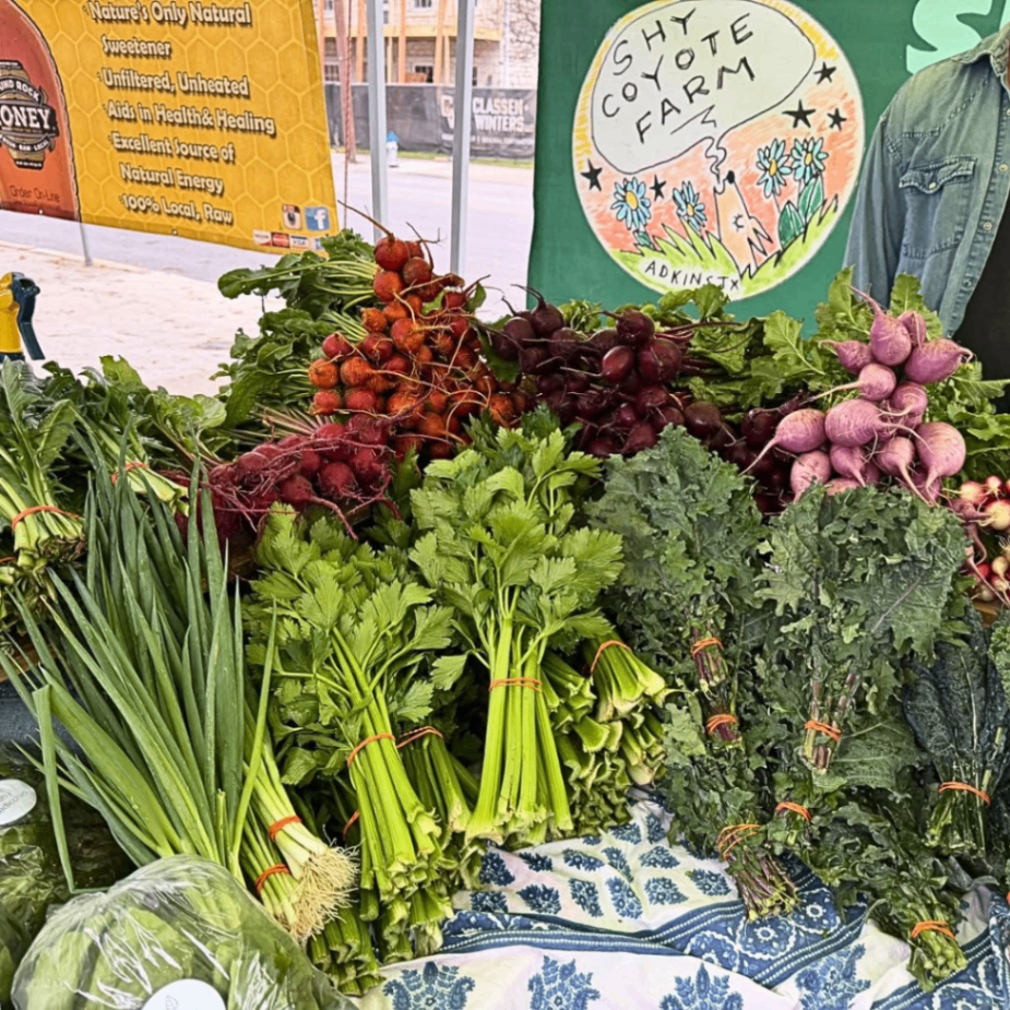 New Braunfels Farmers Market 8