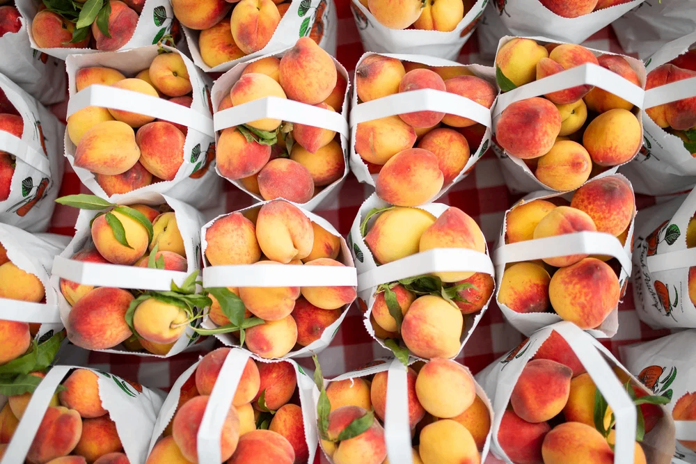 Texas Farmers' Market at Mueller 6