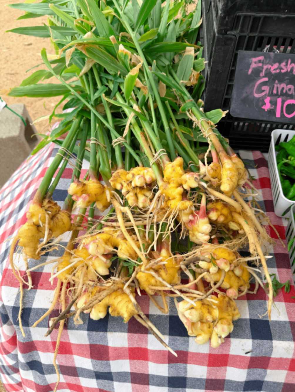 SFC Farmers' Market at Sunset Valley 3