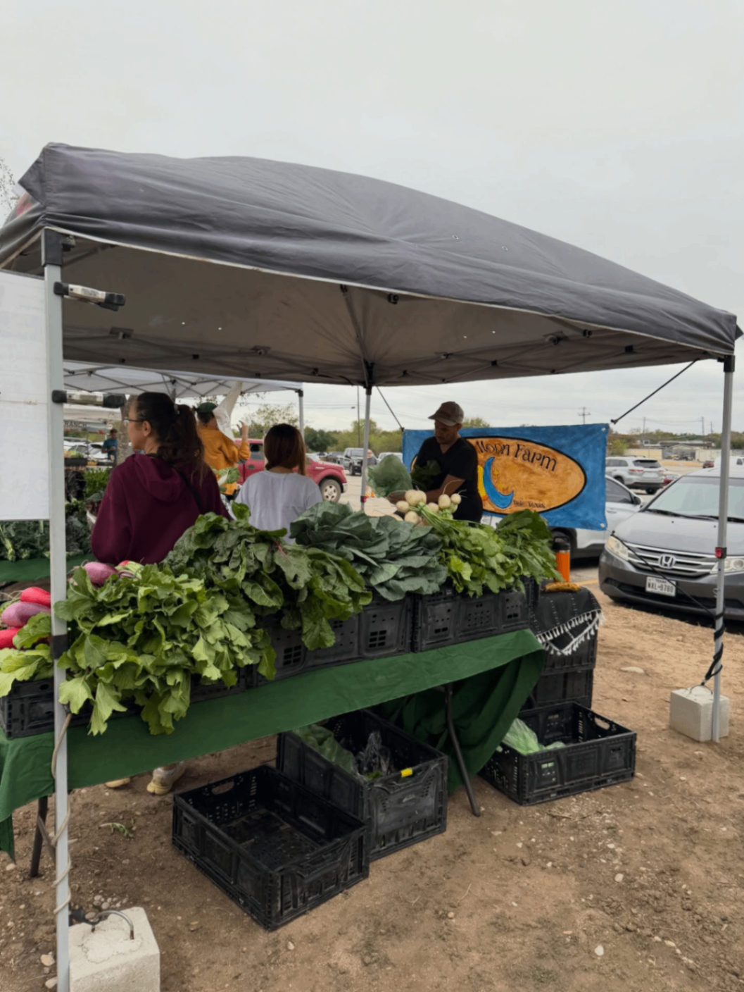 SFC Farmers' Market at Sunset Valley 6