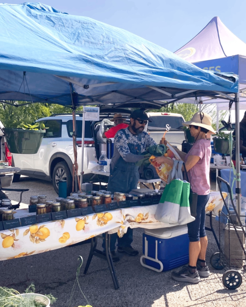 Barton Creek Farmers Market 2