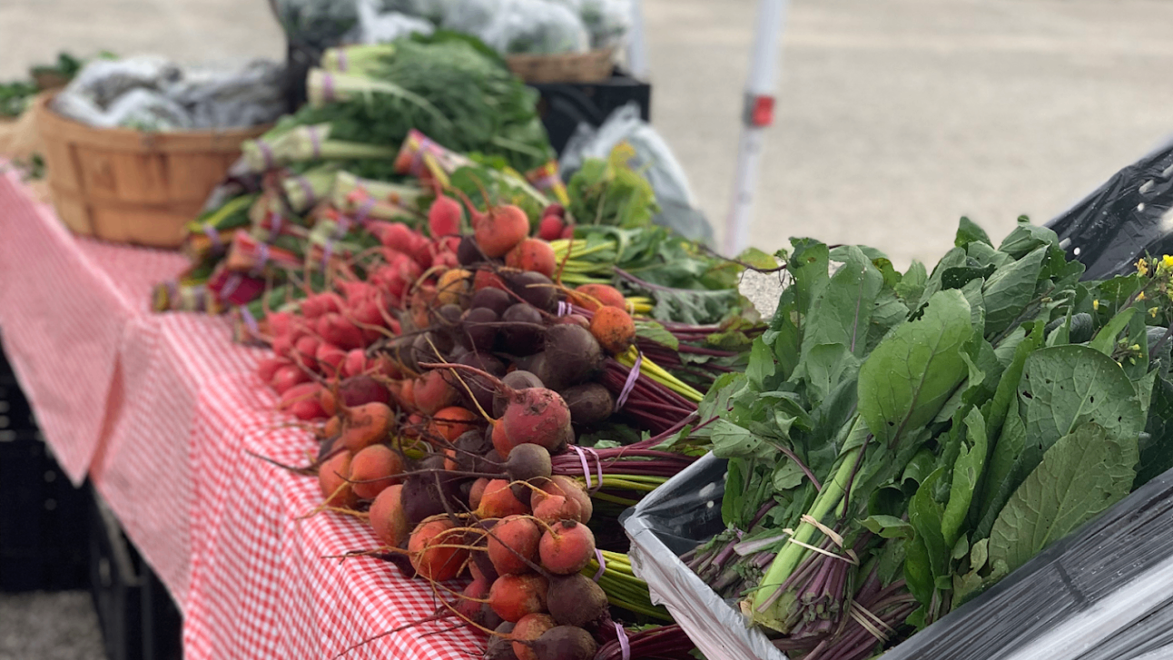 Barton Creek Farmers Market 4